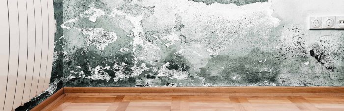 Как избавиться от запаха сырости в квартире? 