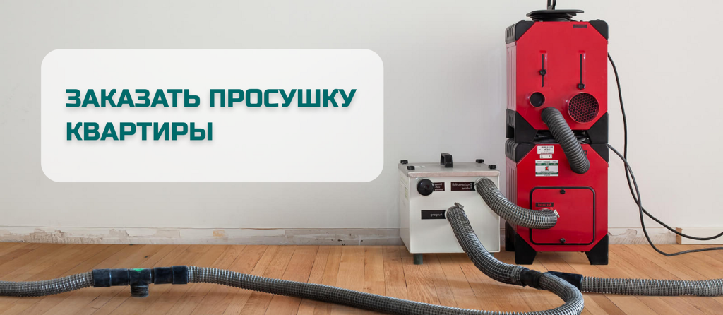 заказать просушку квартиры