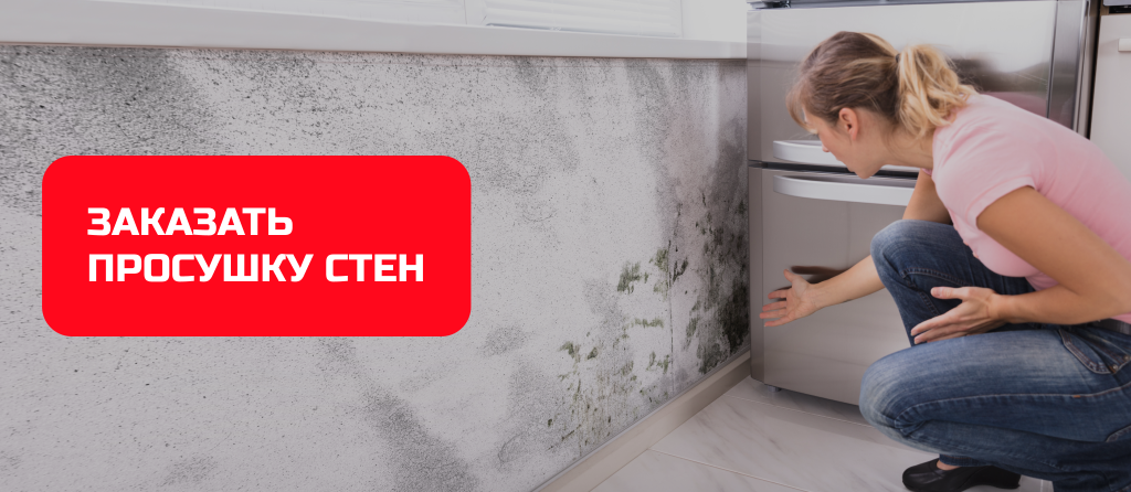 заказать просушку стен